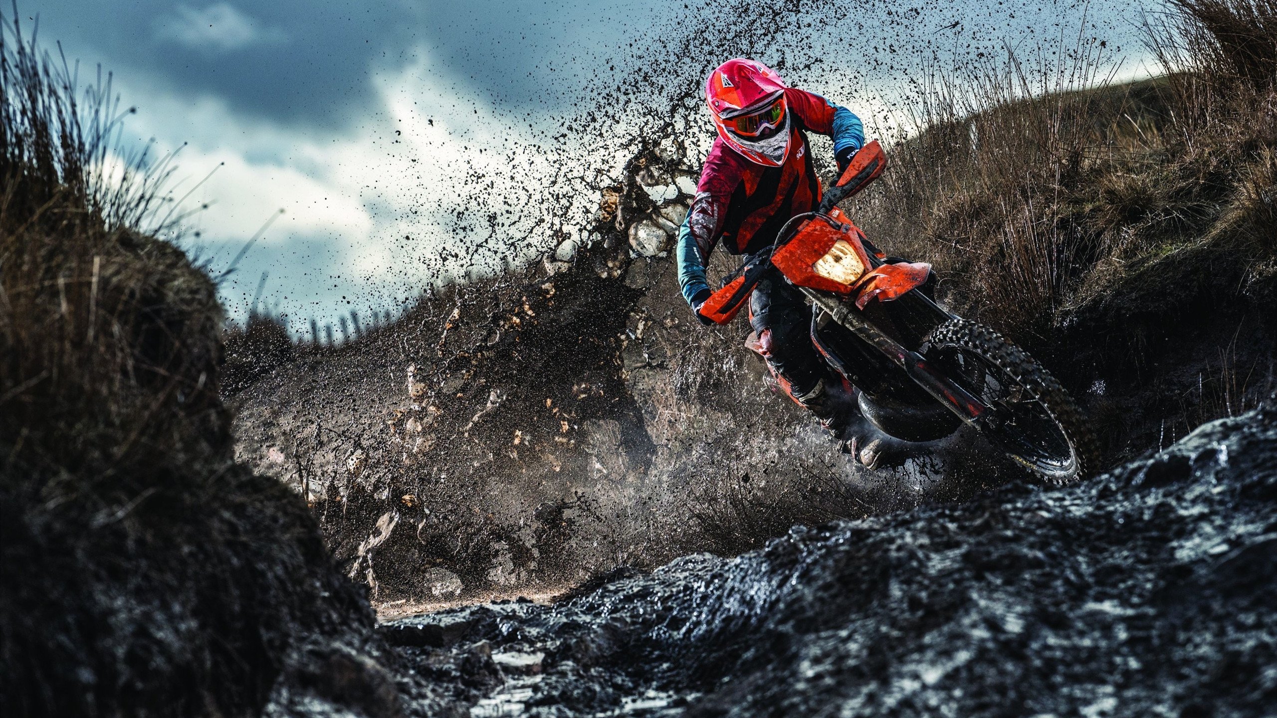 意大利马术队在2024年欧洲三项赛锦标赛中获得团体银牌，展现强大实力。